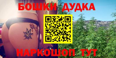apvp Можга