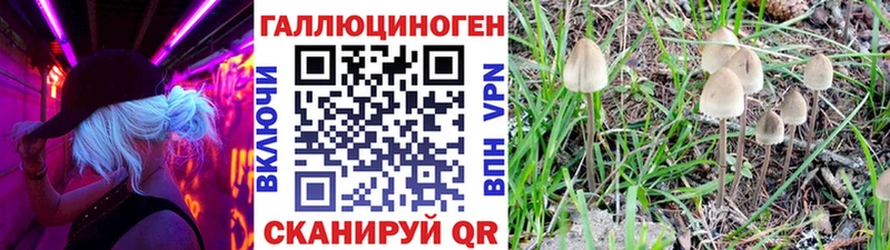 МЕГА вход  магазин продажи   Гуково  Псилоцибиновые грибы MAGIC MUSHROOMS 