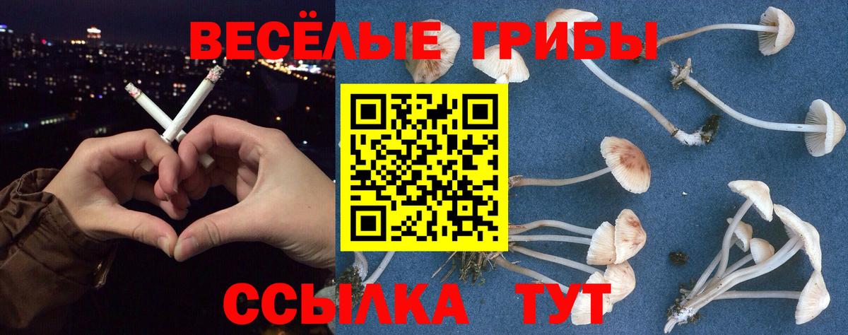 Псилоцибиновые грибы мицелий Гуково