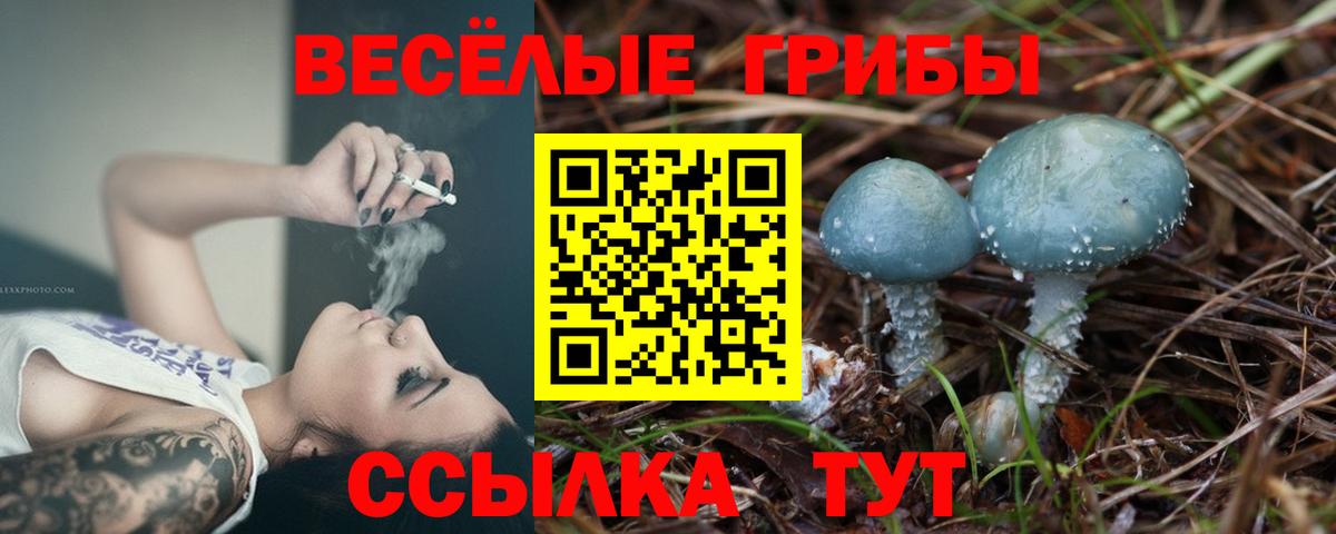 Гуково  закладки  Вход с VPN  Галлюциногенные грибы GOLDEN TEACHER 